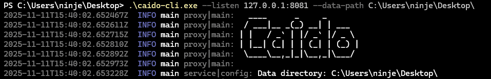 Launching an additional instance via the CLI.